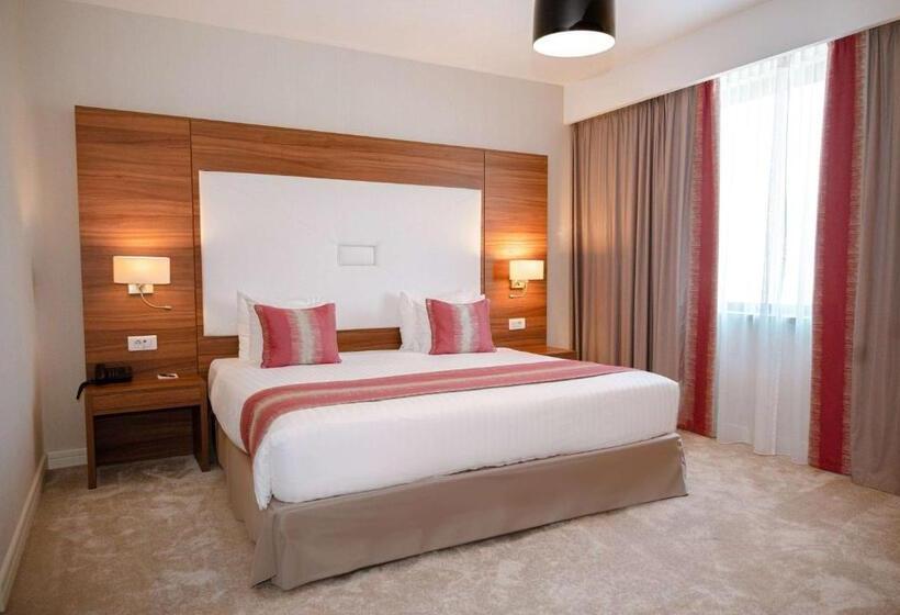 장애인을 위한 스탠다드 싱글 룸, Ramada Plaza Craiova
