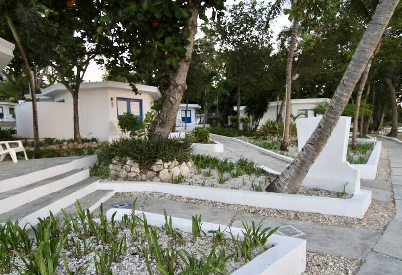 سوئیت پریمیوم با چشم‌انداز دریا, Kaliko Beach Club   All Inclusive Resort