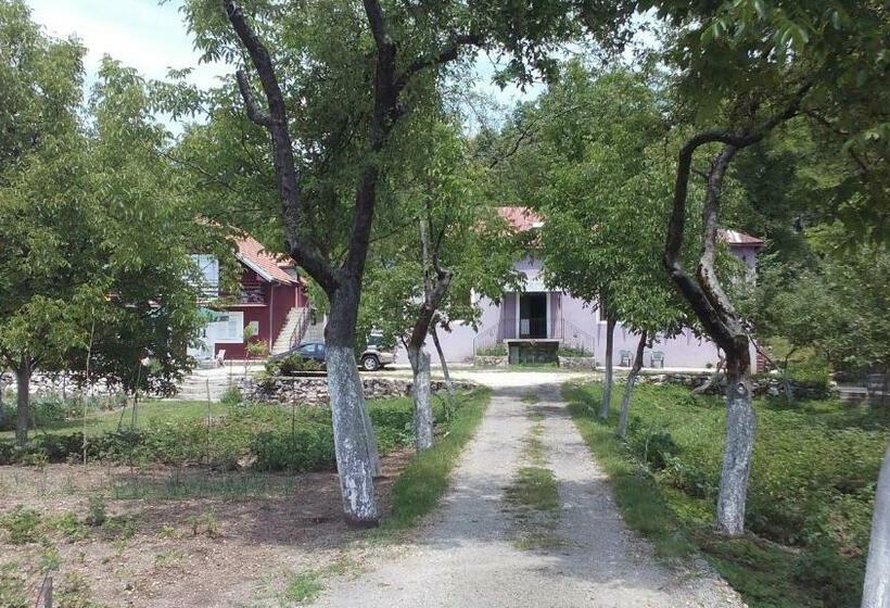آپارتمان 1 خوابه, Casa Calda Apartments