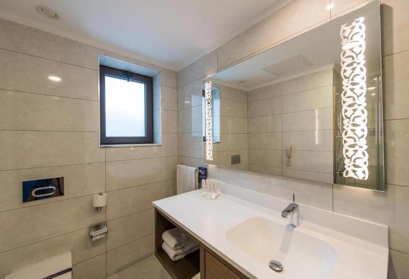 اتاق کلاس بیزنس, Radisson Blu Hotel, Ordu
