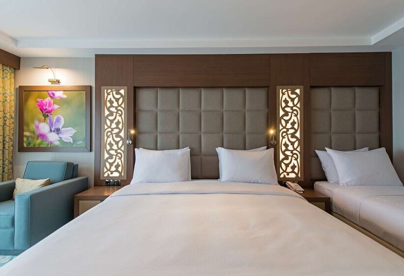 スーペリアールーム, Radisson Blu Hotel, Ordu