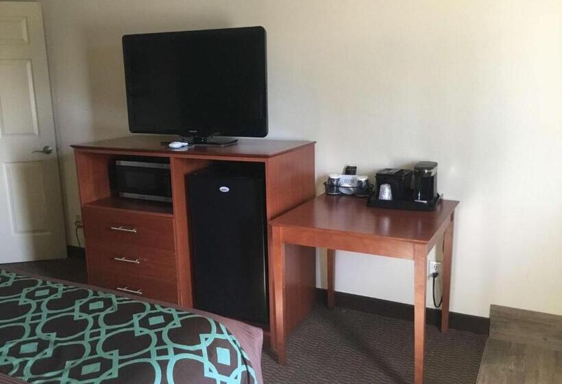 스탠다드 룸 킹사이즈 침대, Surestay Hotel By Best Western Bowling Green North