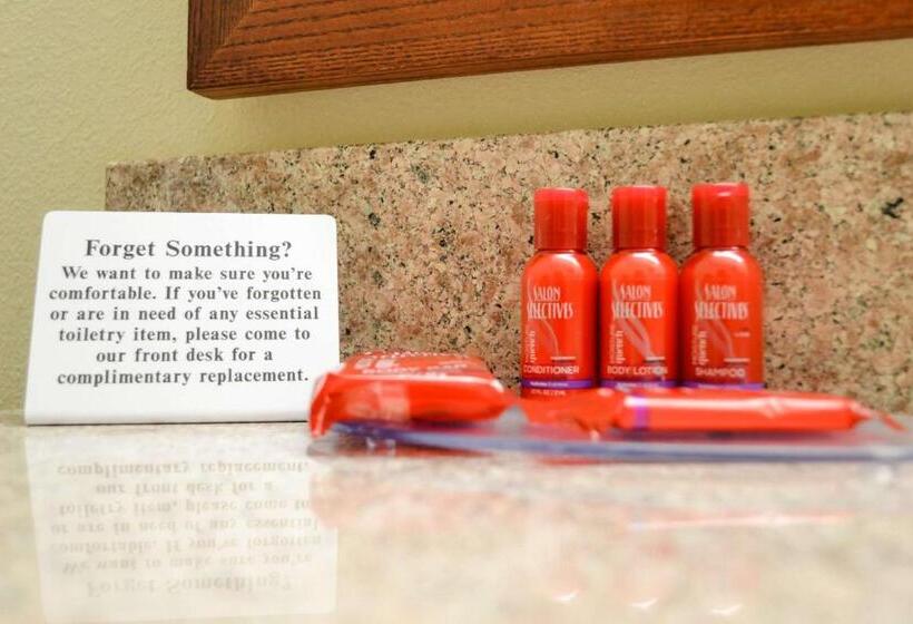 Номер Стандарт Адаптированный для Инвалидов, Surestay Hotel By Best Western Bowling Green North