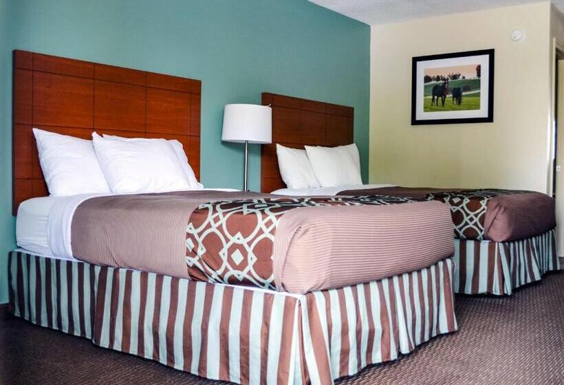 Номер Стандарт Адаптированный для Инвалидов, Surestay Hotel By Best Western Bowling Green North