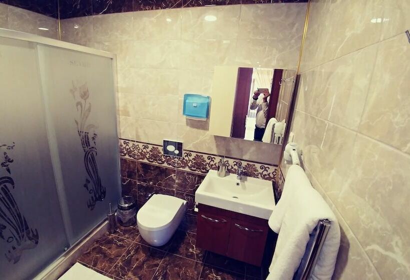 Номер Стандарт Индивидуальный, Seybils Otel