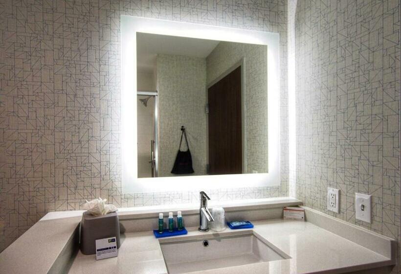 스탠다드 룸, Holiday Inn Express & Suites Moore, An Ihg