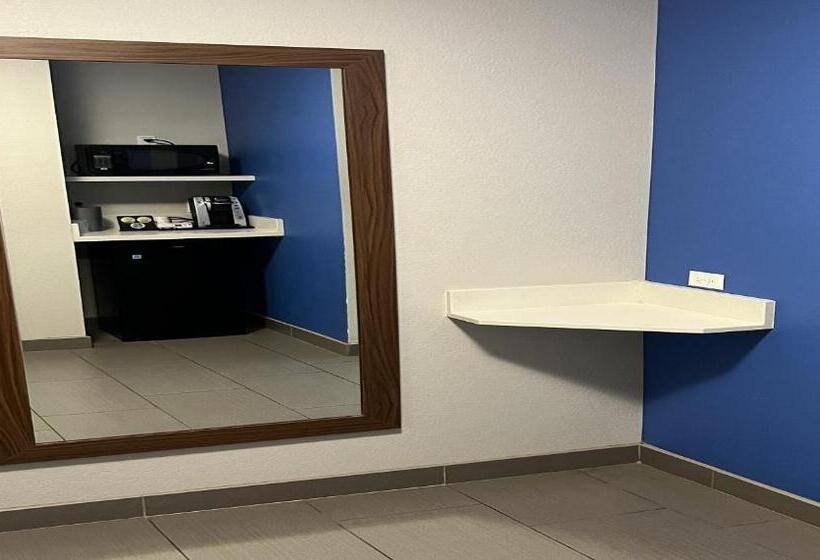 장애인을 위한 스탠다드 룸, Holiday Inn Express & Suites Moore, An Ihg