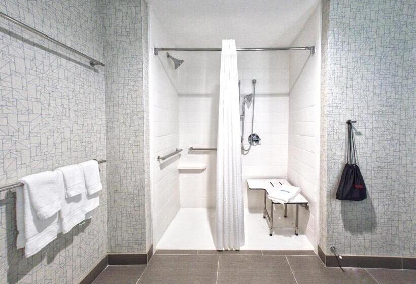 장애인을 위한 킹사이즈 침대 스탠다드 룸, Holiday Inn Express & Suites Moore, An Ihg