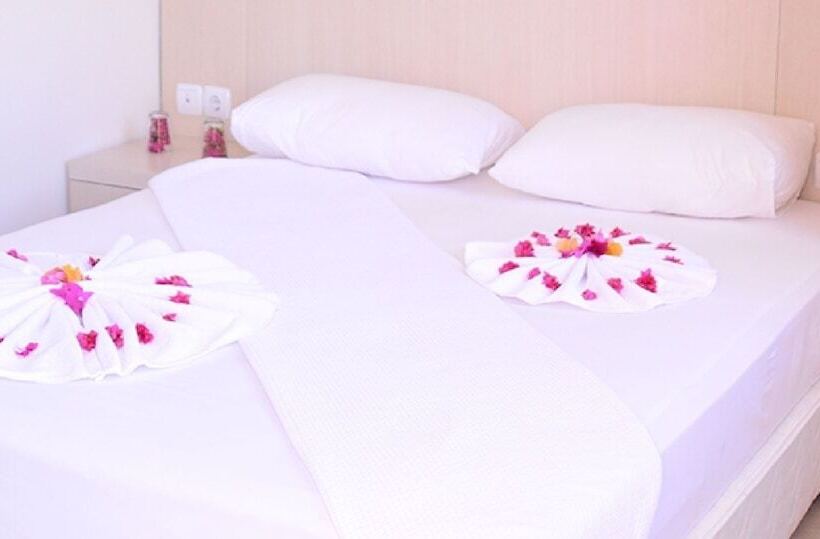 Quarto Estandar, Parus