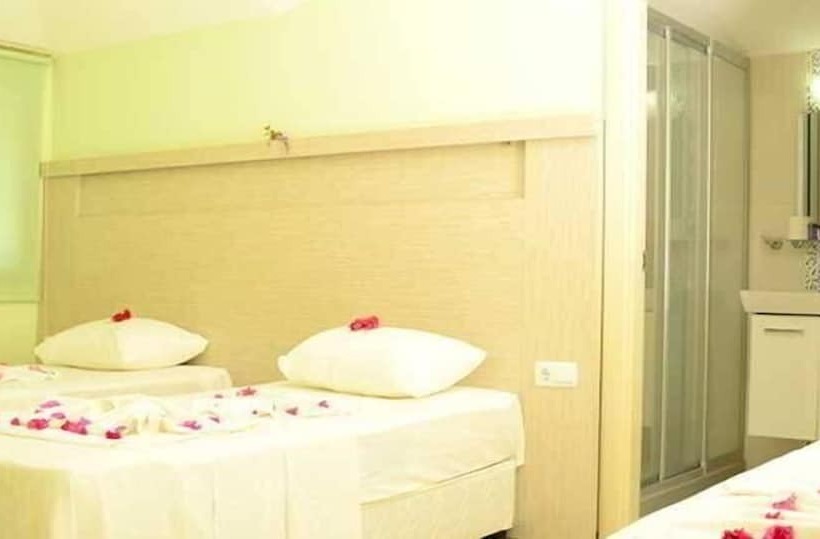 Quarto Estandar, Parus