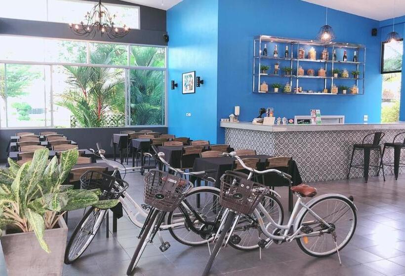 اتاق استاندارد با چشم‌انداز باغ, The Malika Hotel   Sha Extra Plus