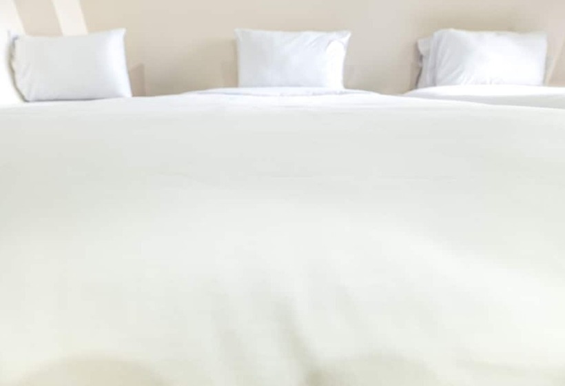 Quarto Triplo Estandar, Don Muang