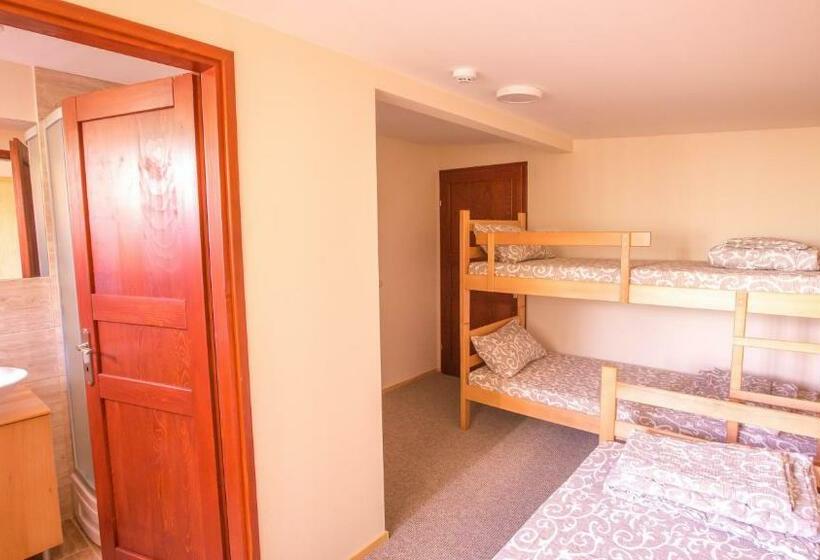 اتاق استاندارد یک نفره, Green House Hostel