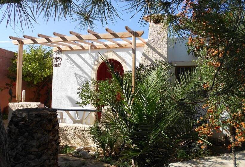 استودیوی استاندارد, Eliza