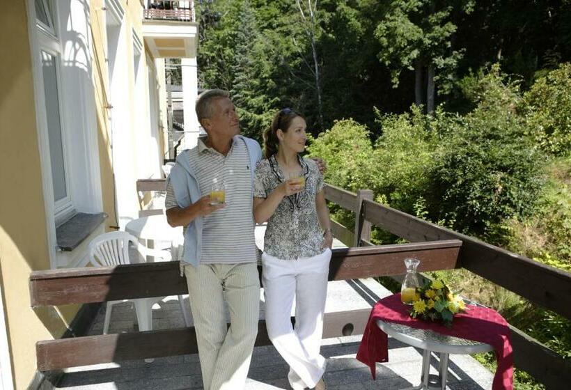 Номер Стандарт Панорамный Вид, Royal Marianske Lazne