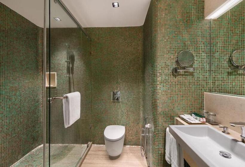 اتاق دلوکس مخصوص معلولین, Wyndham Ahmedabad Shela