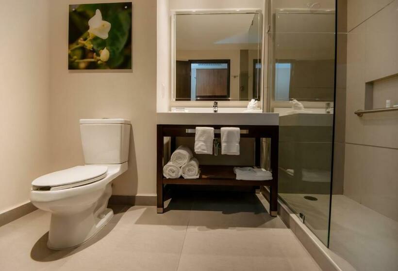 キングサイズベッドのスタンダードルーム, Hilton Garden Inn Puebla Angelópolis, Mexico