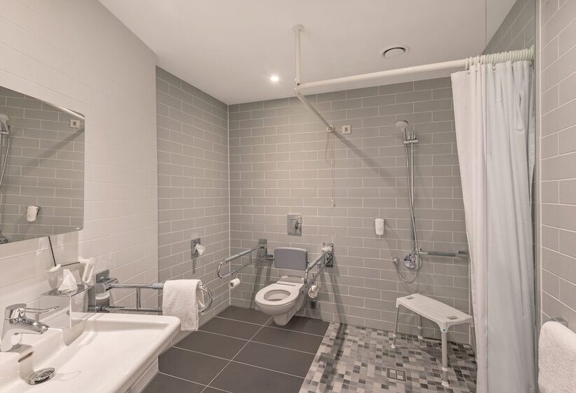 Номер Стандарт Двуспальная Кровать Адаптированный для Инвалидов, Holiday Inn Express   Siegen, An Ihg