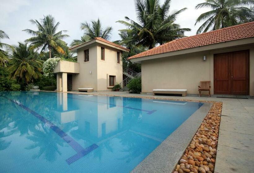 Quarto Estandar Vista Piscina, Shreyas Retreat