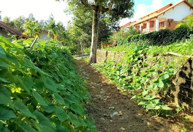 اتاق لوکس با چشم‌انداز باغ, The Garden House Phu Quoc Resort