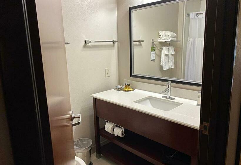 Стандартный Номер Кровать Кинг, Best Western Plus Spring Inn & Suites