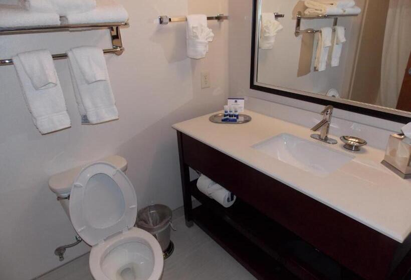 Номер Стандарт Адаптированный для Инвалидов, Best Western Plus Spring Inn & Suites