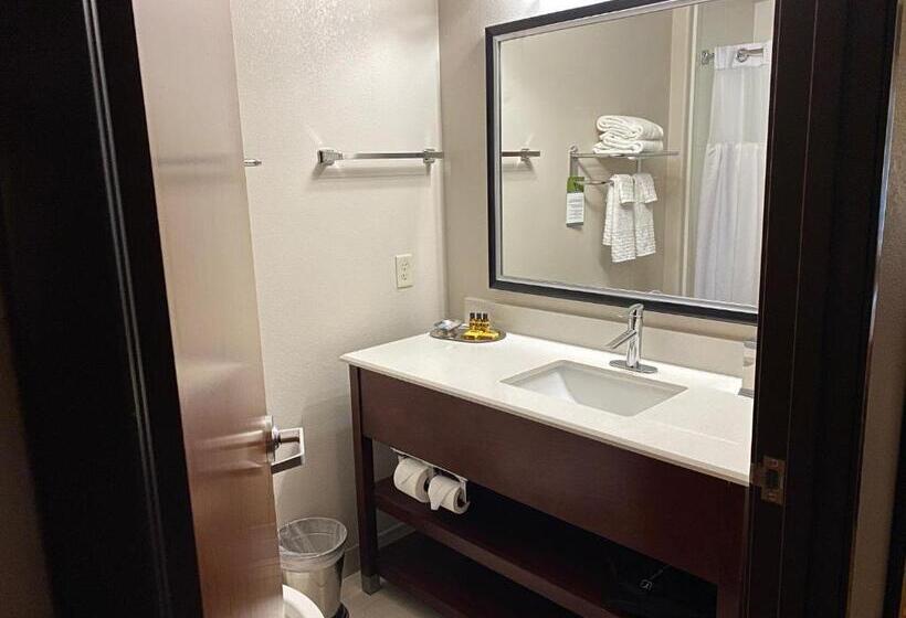 Люкс Адаптированный для Инвалидов, Best Western Plus Spring Inn & Suites