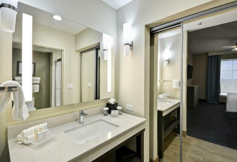 带大床的套房, Homewood Suites By Hilton Orlando Theme Parks