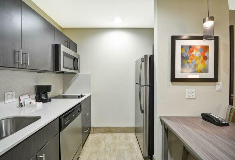 带大床的套房, Homewood Suites By Hilton Orlando Theme Parks