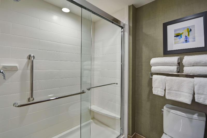 带大床的套房, Homewood Suites By Hilton Orlando Theme Parks