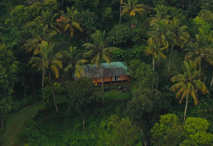 Четырехместный Номер Стандарт Вид на Сад, Punarjani Ayurvedic Resorts