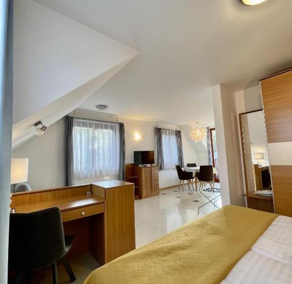 استودیو استاندارد با بالکن, Aparthotel Gaja