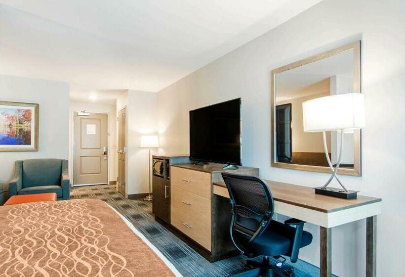 Люкс Адаптированный для Инвалидов, Comfort Inn & Suites East Ellijay