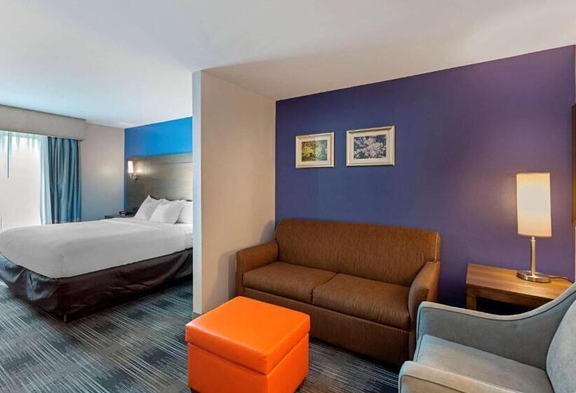 Люкс Адаптированный для Инвалидов, Comfort Inn & Suites East Ellijay