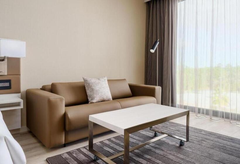 اتاق استاندارد با چشم‌انداز شهر, Ac Hotel By Marriott Jacksonville St Johns Town Center