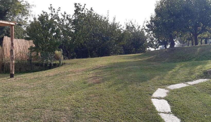 اتاق استاندارد, Ninsòle