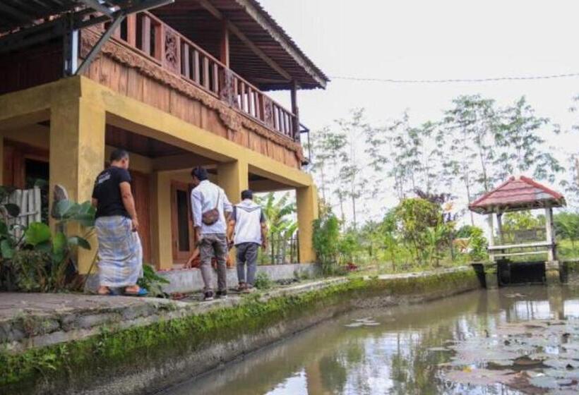 Номер Стандарт с Террасой, Kangkung House Bujak