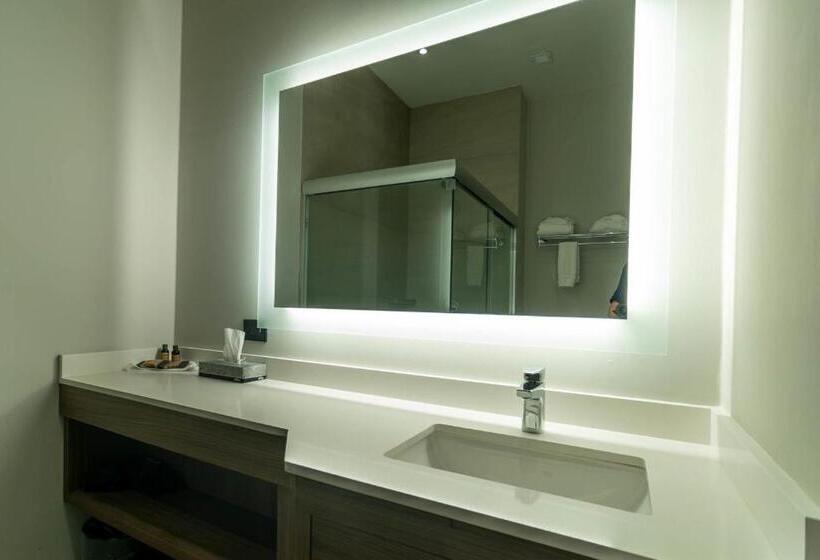 سوئیت با تخت بزرگ, Holiday Inn Navojoa, An Ihg