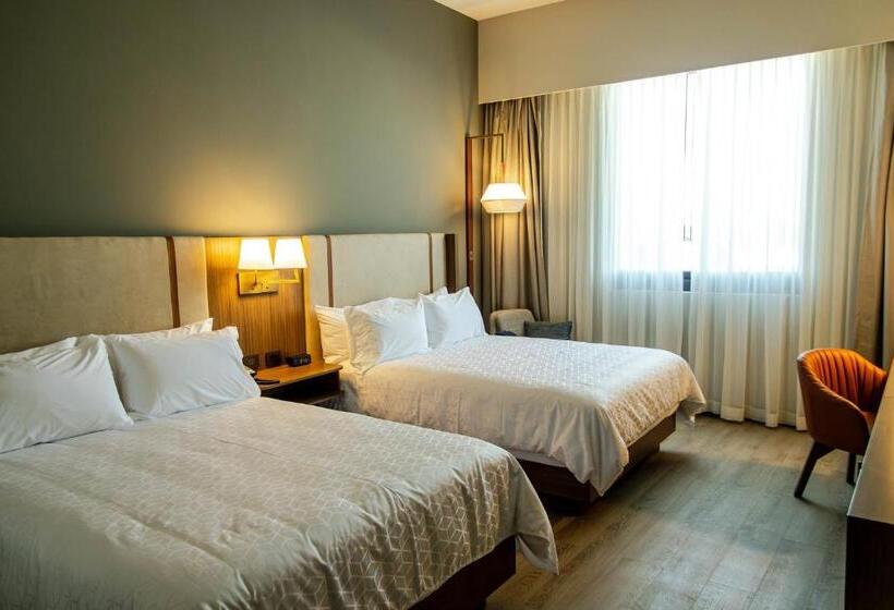 اتاق پرمیوم, Holiday Inn Navojoa, An Ihg