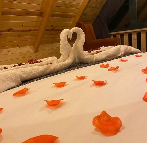 بنگله خانوادگی, Fırtına Suit Bungalov