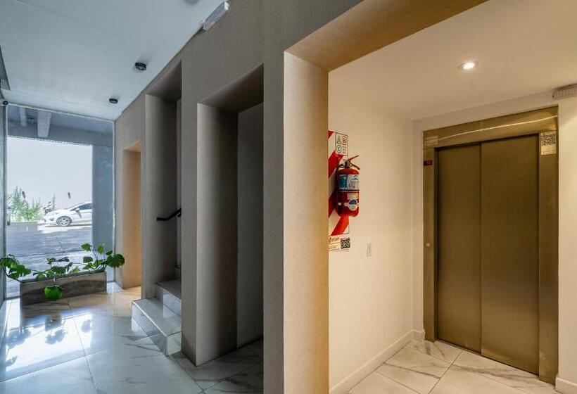 استودیوی لوکس, Studio In Palermo