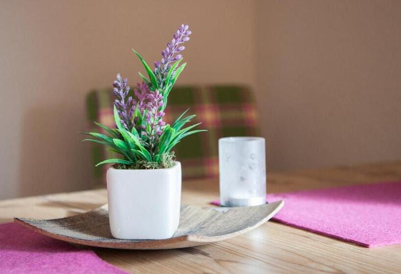 استودیوی استاندارد, Apart Hotel Arno