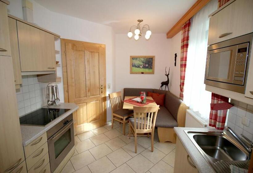 آپارتمان 1 خوابه با بالکن, Appartements Wieshof