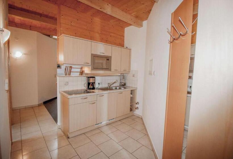 آپارتمان 1 خوابه, Appartements Wieshof