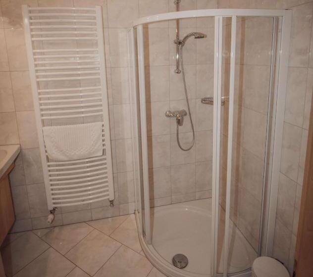 آپارتمان 1 خوابه, Appartements Wieshof