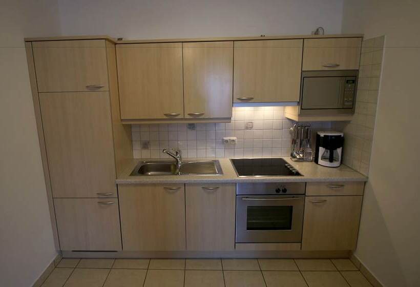 آپارتمان 2 خوابه با بالکن, Appartements Wieshof