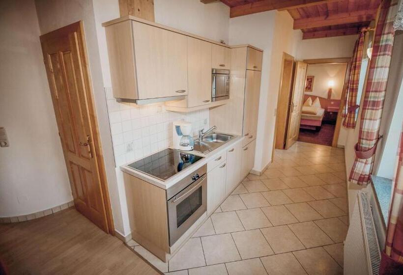 آپارتمان 1 خوابه, Appartements Wieshof