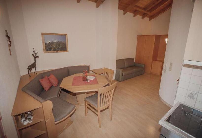 آپارتمان 1 خوابه, Appartements Wieshof