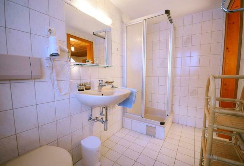 Номер Стандарт, Pension Faneskla