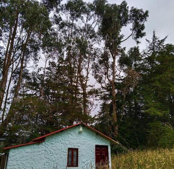 Номер Стандарт, Casa Enverdes